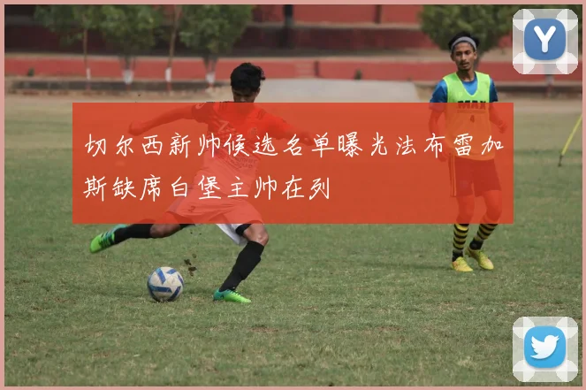 切尔西新帅候选名单曝光法布雷加斯缺席白堡主帅在列