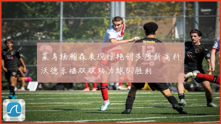 菜鸟杨瀚森表现惊艳创多项新高科沃德乐福双双助力球队胜利