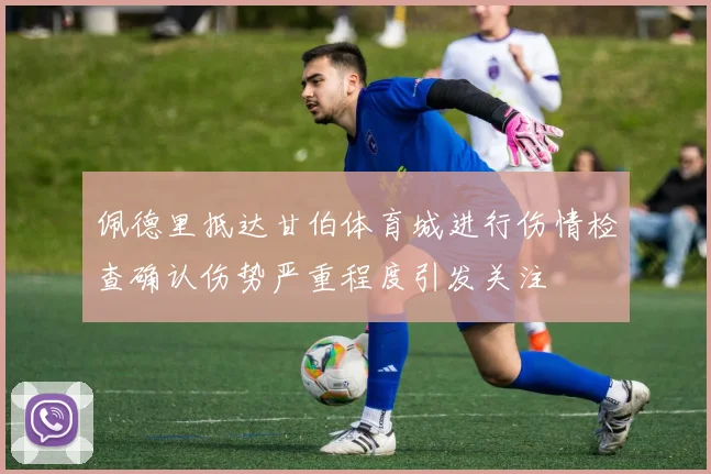 佩德里抵达甘伯体育城进行伤情检查确认伤势严重程度引发关注